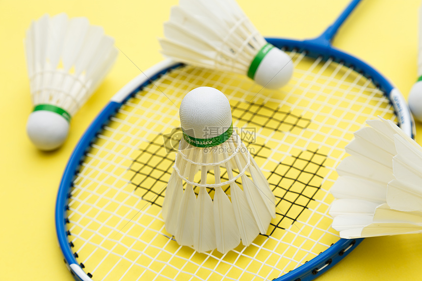 结构和体能 结构和体能