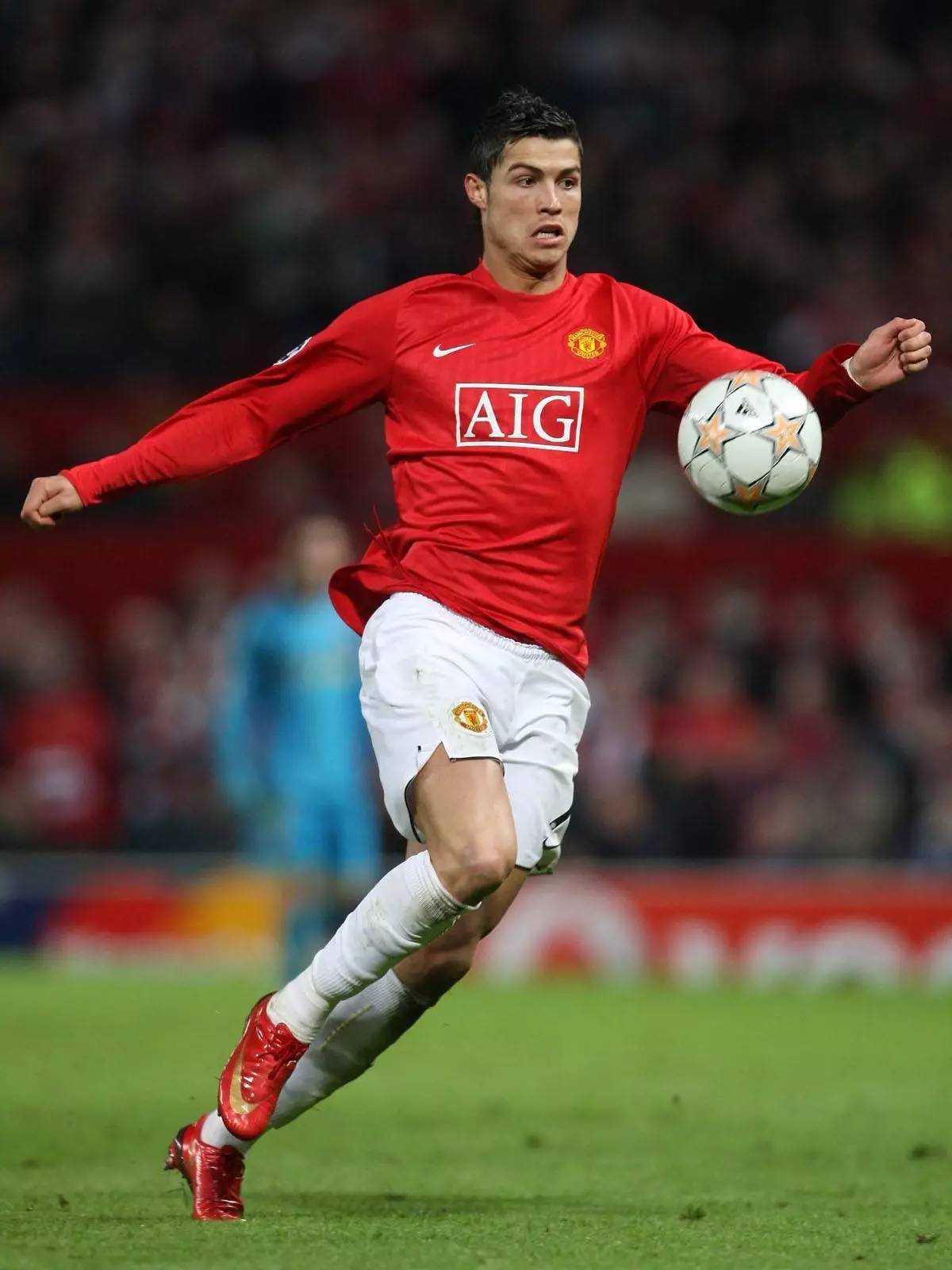 他的职业生 他的职业生